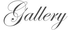 Victorias Dog Grooming Gallery