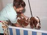 Wash